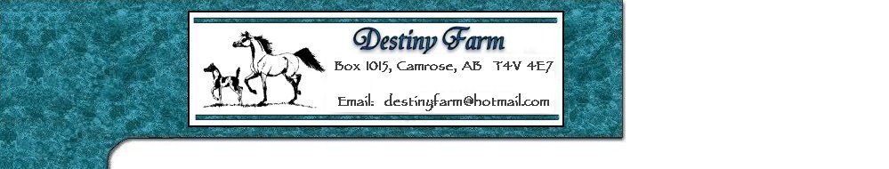 Destiny Farm, Box 1015, Camrose, AB  T4V 4E7 - Phone:403-883-2277  email: destinyfarm@hotmail.com