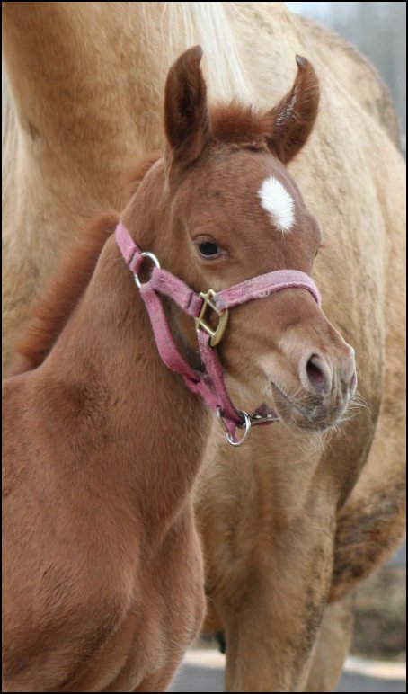 Cora as a newborn