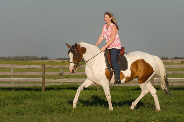 Rhythm N'Roses DF - By Legacy of Gold son out of Champion producing pinto mare