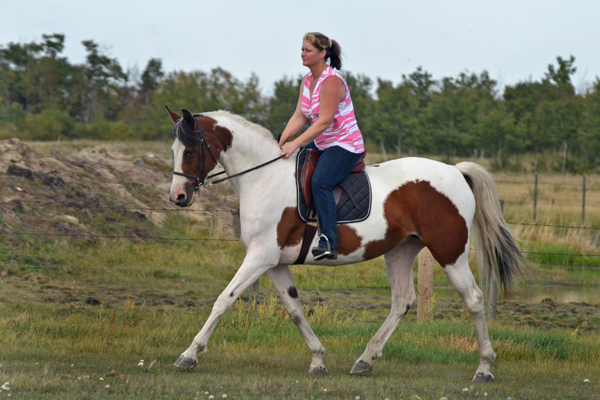 Rhythm N'Roses DF - By Legacy of Gold son out of Champion producing pinto mare