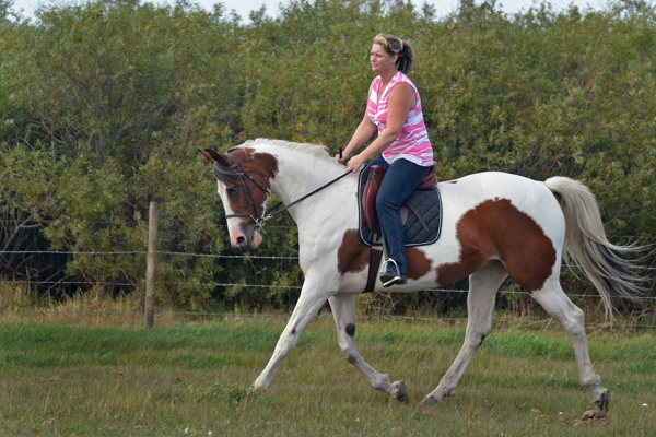 Rhythm N'Roses DF - By Legacy of Gold son out of Champion producing pinto mare