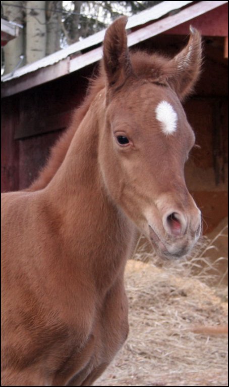 Cora as a newborn