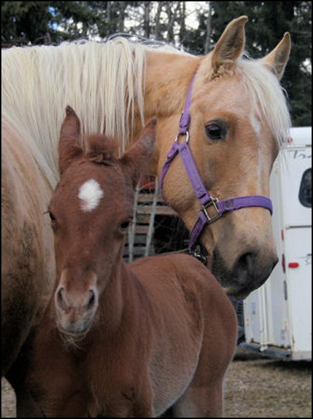 Cora as a newborn