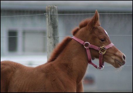 Cora as a newborn
