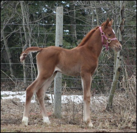 Cora as a newborn