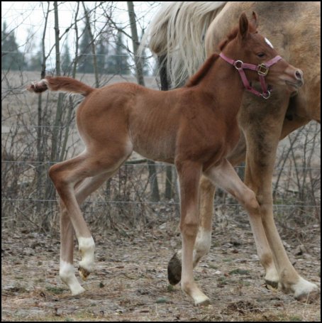 Cora as a newborn