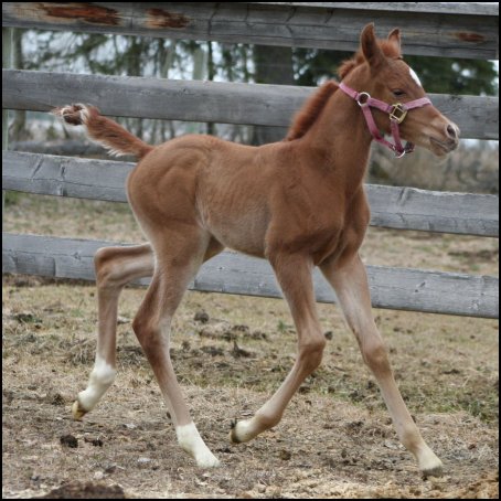 Cora as a newborn