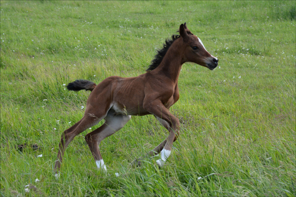Click to view photo gallery