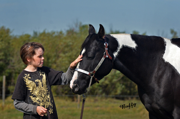 Black Designer Jeans - Black Homozygous Tobiano APHA mare